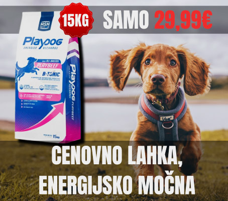 cenovno lahko, energijsko močna