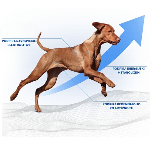 Podpira ravnovesje elektrolitov Podpira ravnovesje elektrolitov