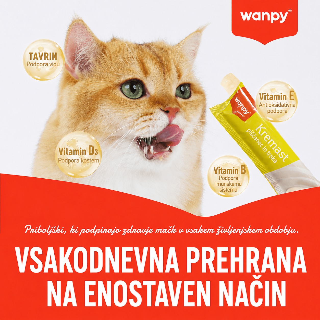 e24704d0 a21b 4e05 91d3 a4960fb80a5a e24704d0 a21b 4e05 91d3 a4960fb80a5a