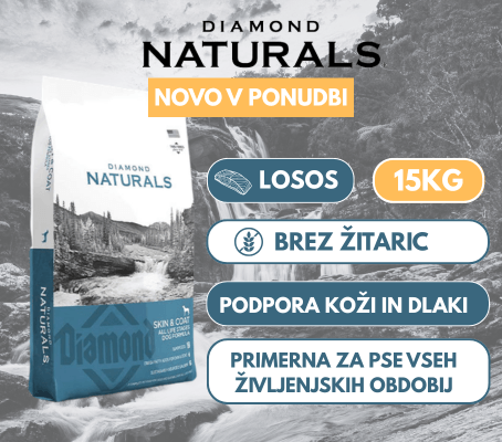 Diamond Grain Free z lososom