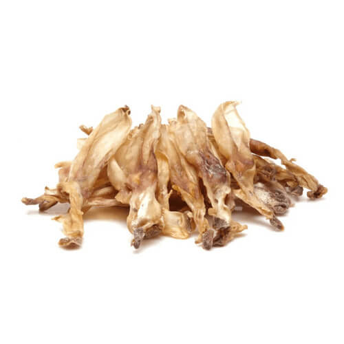Susena-kuncja-usesa